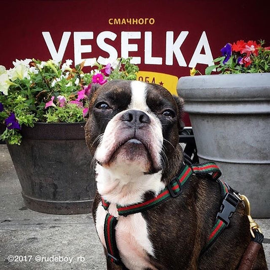 New York, die Stadt die niemals schläft: Mitternachtssnack bei Veselka