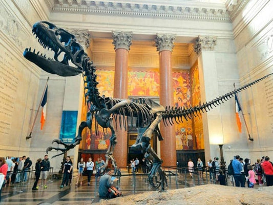 Musée américain d'histoire naturelle