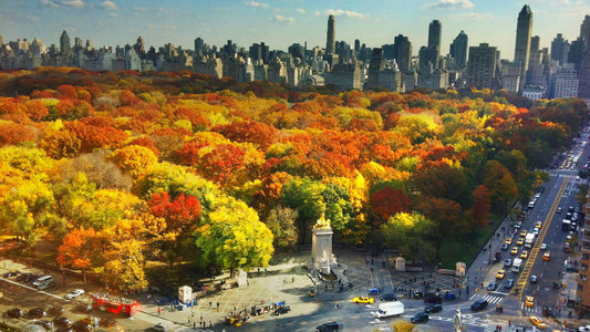 Central Park im Herbst: 5 Dinge zum unternehmen