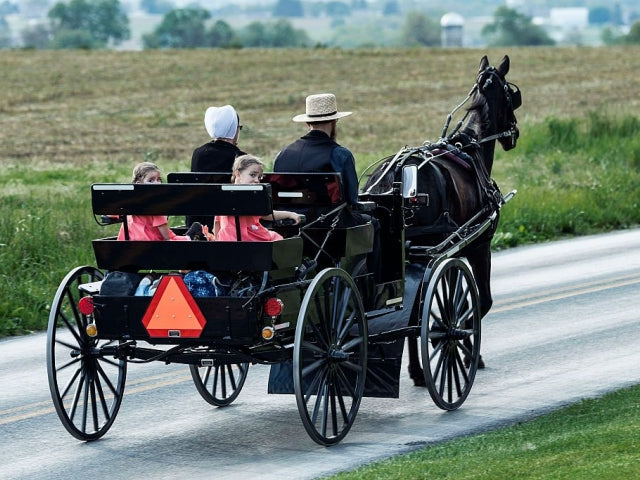 Excursion d'une journée à Philadelphie et dans la communauté Amish 
