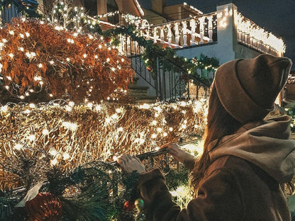 Dyker Heights Christmas Lights