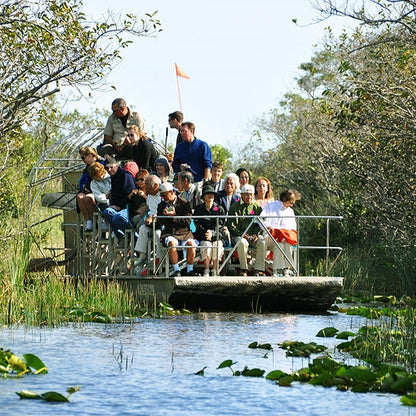 Promenade en hydroglisseur dans les Everglades et spectacle animalier au départ de Miami - Excursion 